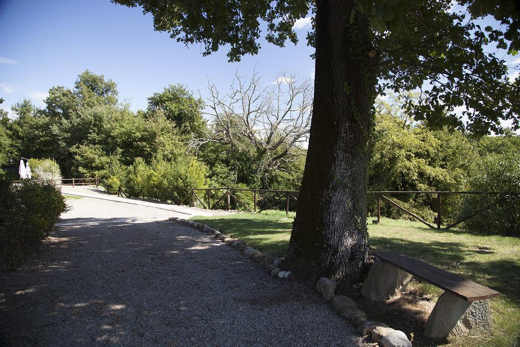 Agriturismo Pieve De Pitti Terricciola Εξωτερικό φωτογραφία