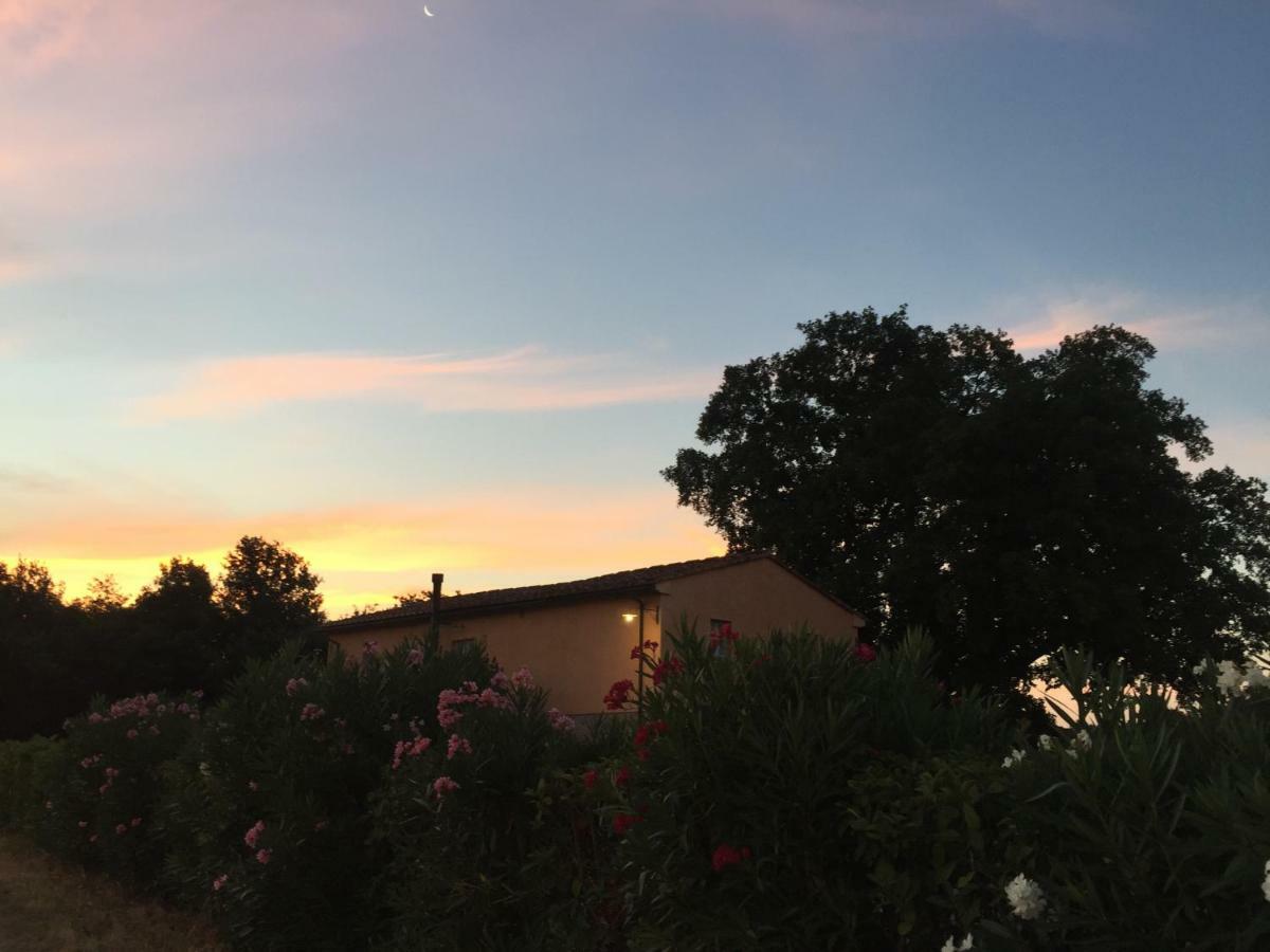 Agriturismo Pieve De Pitti Terricciola Εξωτερικό φωτογραφία