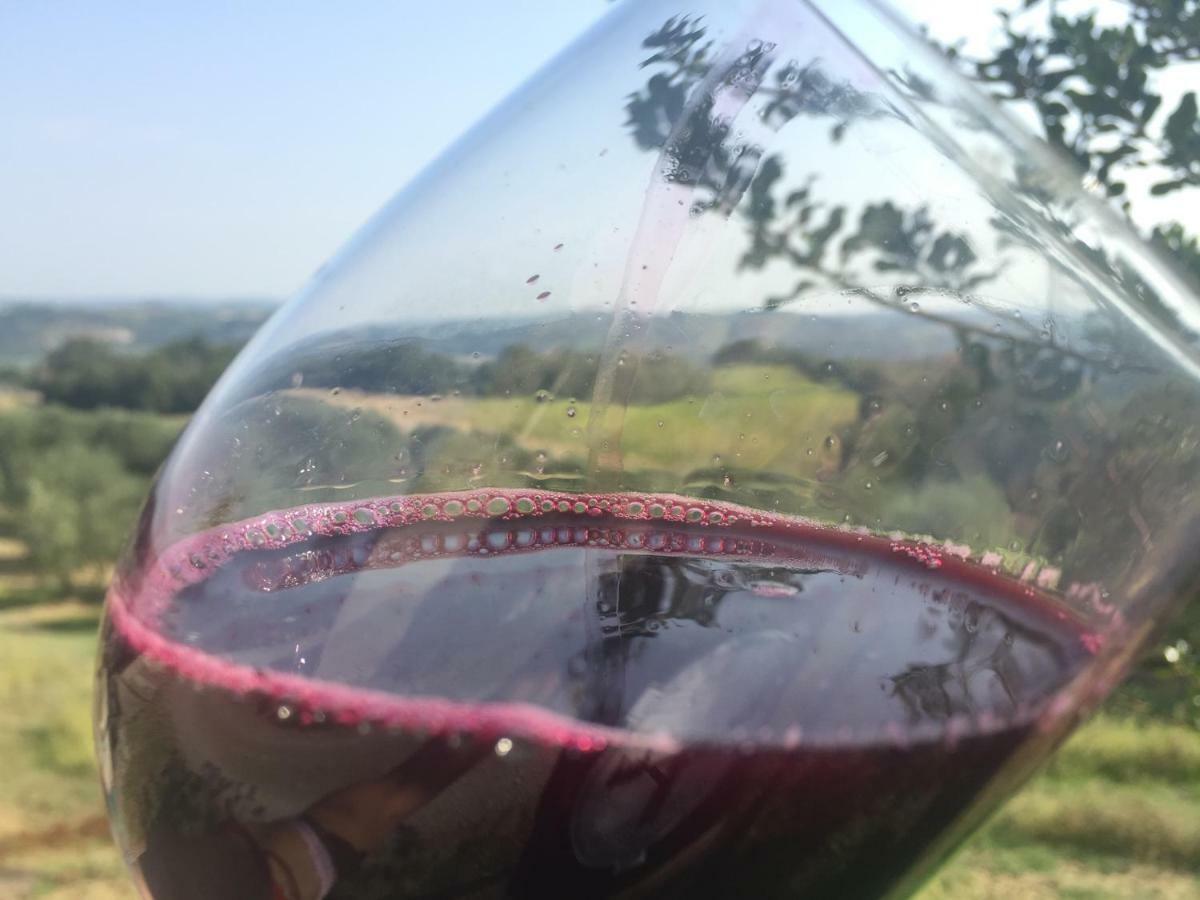 Agriturismo Pieve De Pitti Terricciola Εξωτερικό φωτογραφία