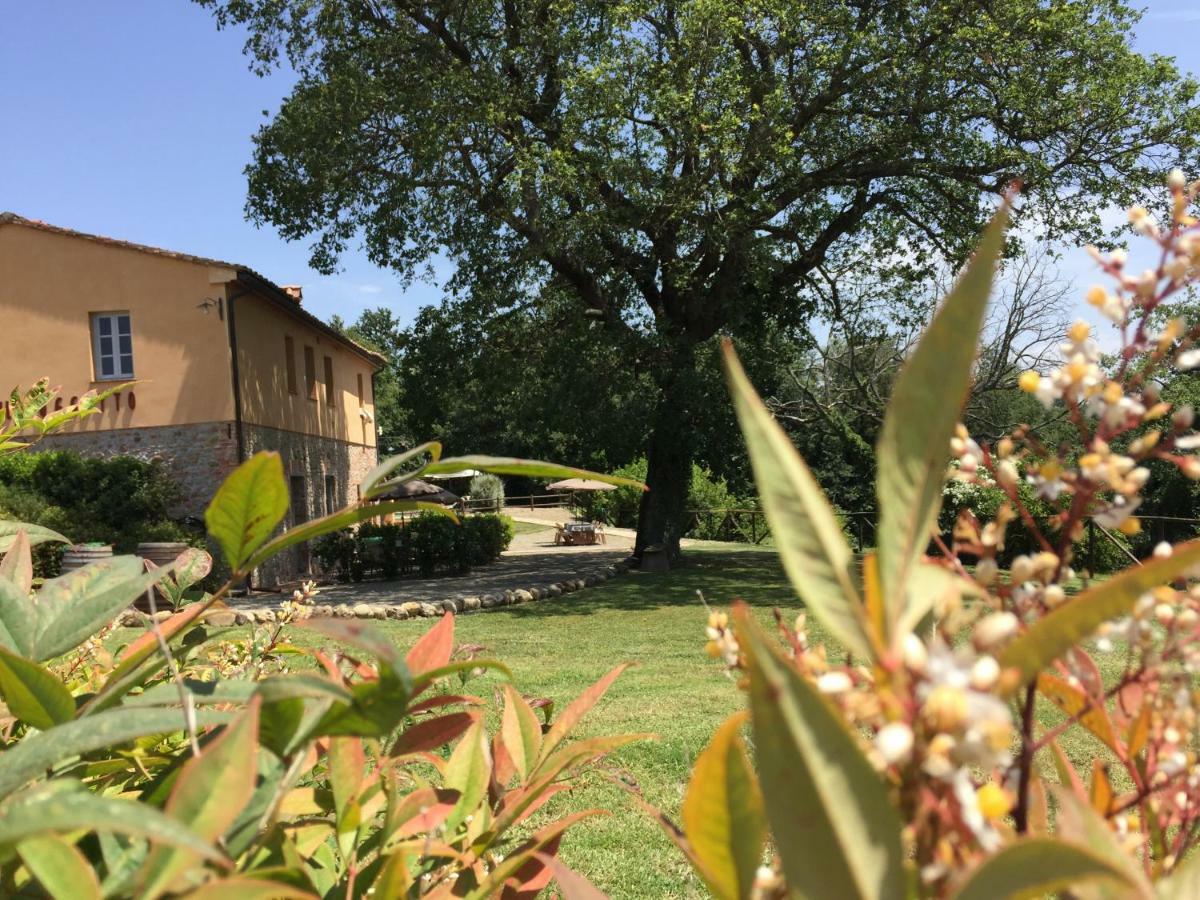 Agriturismo Pieve De Pitti Terricciola Εξωτερικό φωτογραφία