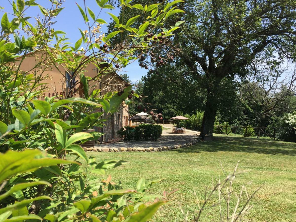 Agriturismo Pieve De Pitti Terricciola Εξωτερικό φωτογραφία