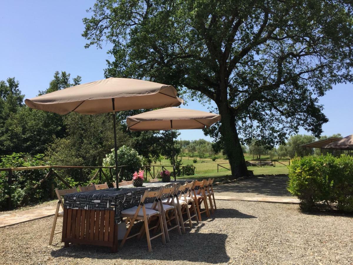 Agriturismo Pieve De Pitti Terricciola Εξωτερικό φωτογραφία