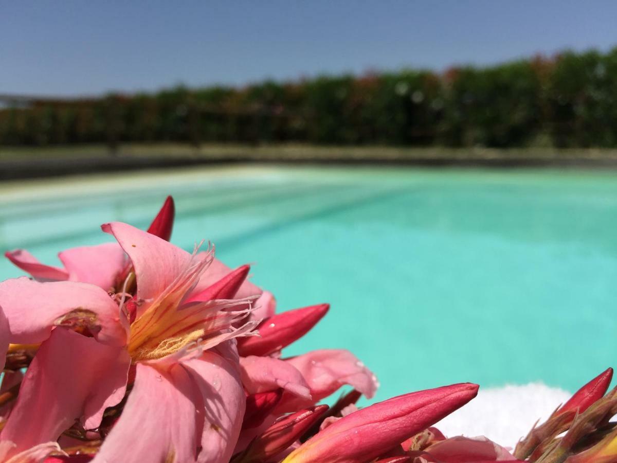 Agriturismo Pieve De Pitti Terricciola Εξωτερικό φωτογραφία