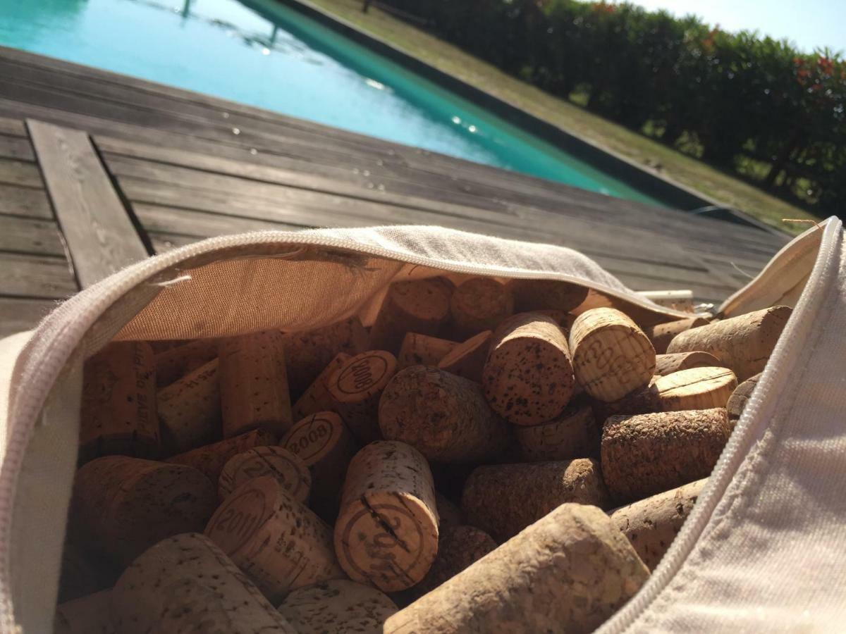 Agriturismo Pieve De Pitti Terricciola Εξωτερικό φωτογραφία