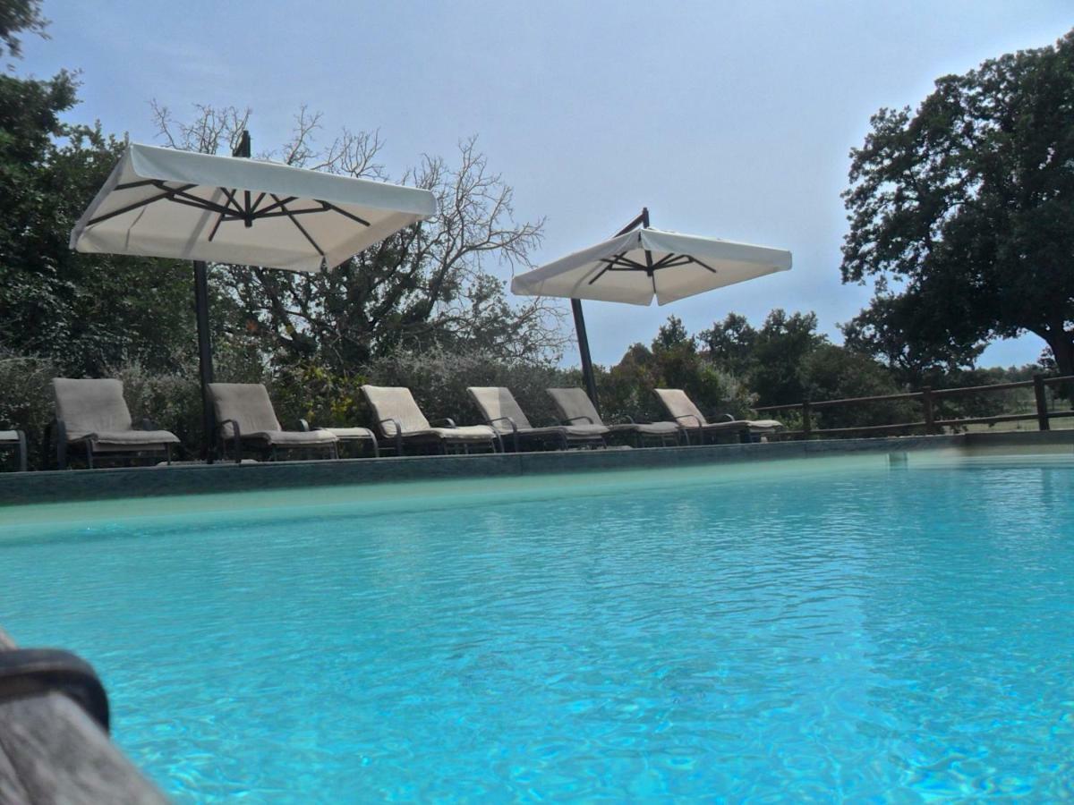 Agriturismo Pieve De Pitti Terricciola Εξωτερικό φωτογραφία